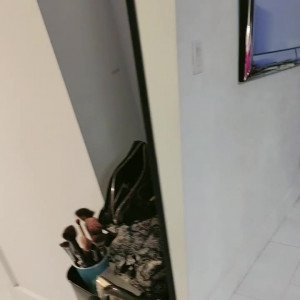 Uncensored Tammyhtherealtor Onlyfans Leaked Videos Xxx Videos