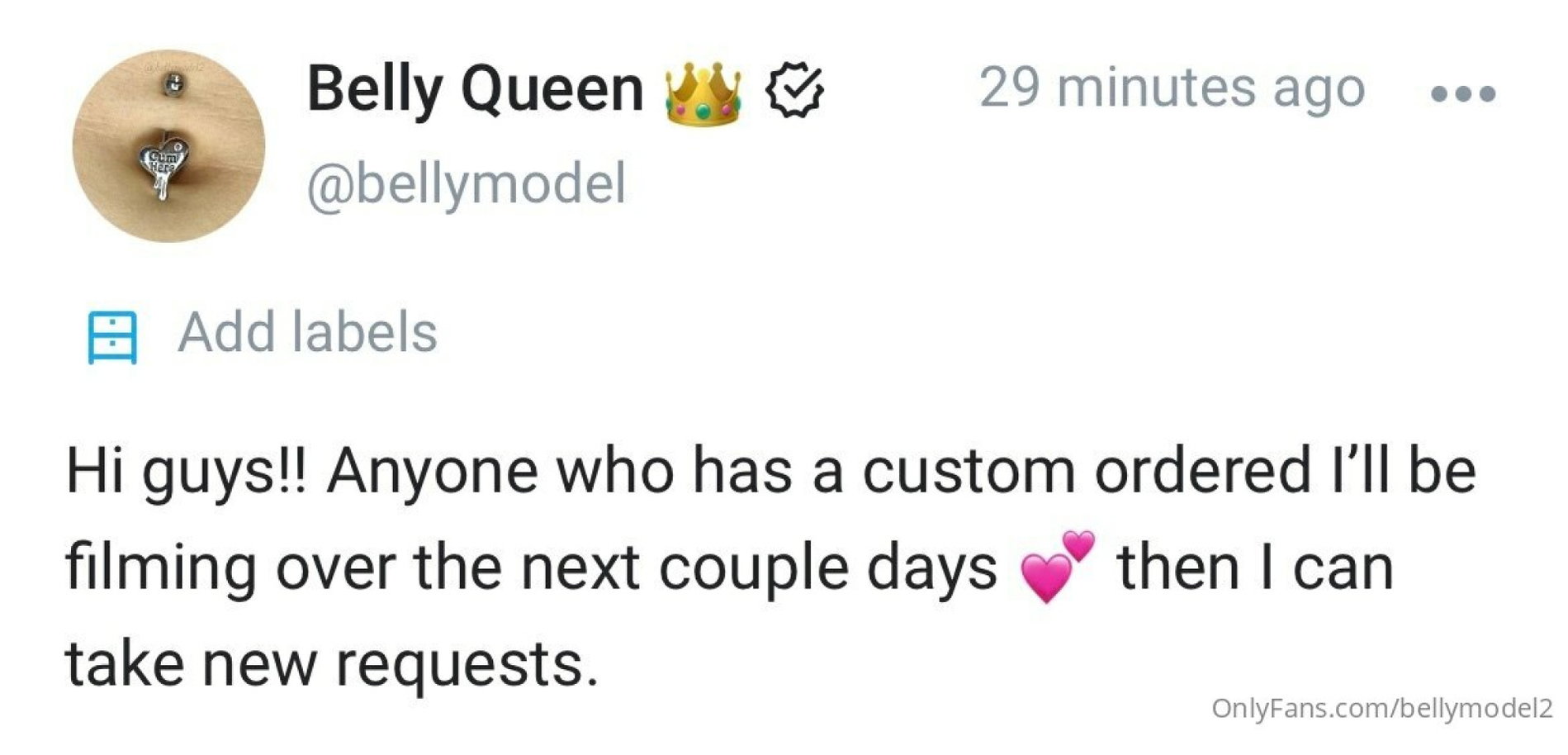 bellymodel2