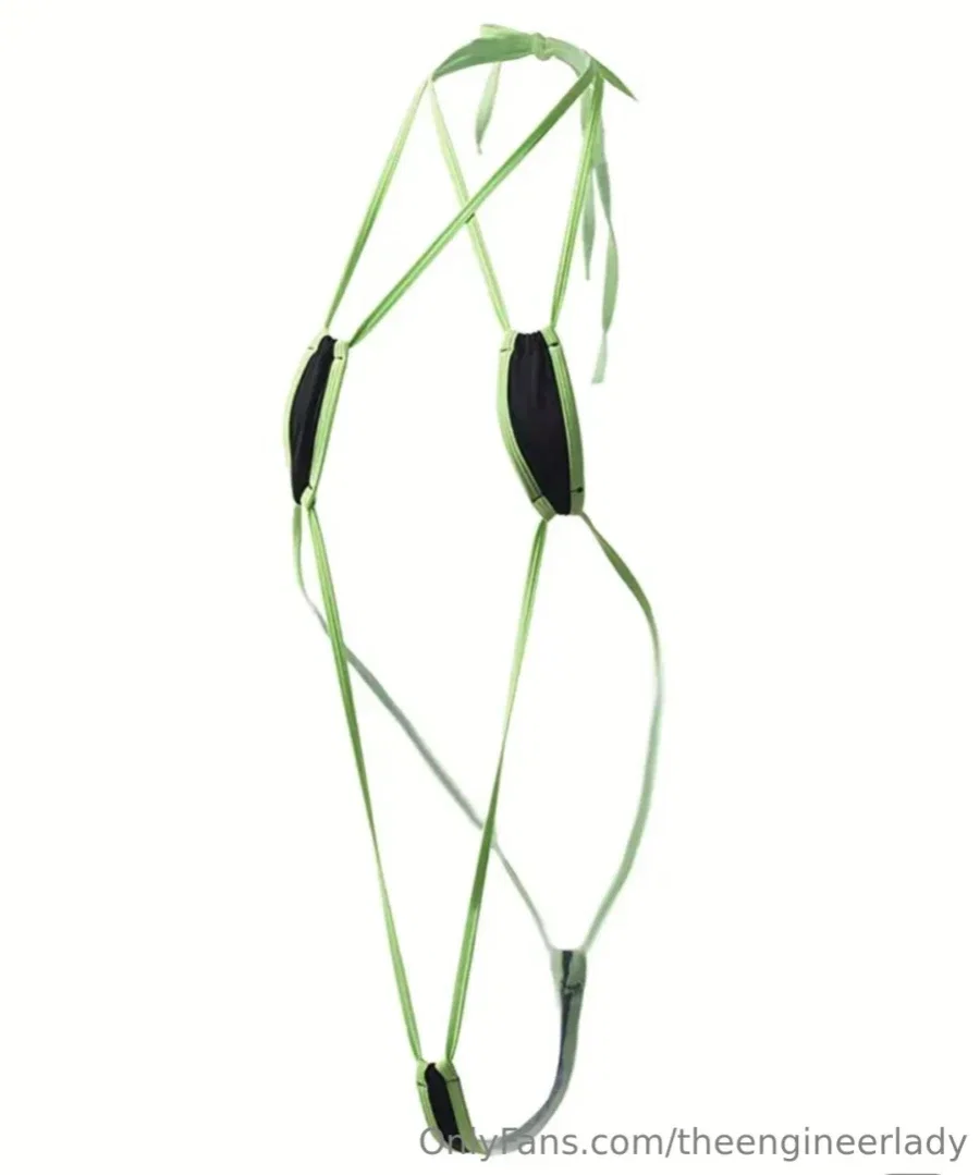 theengineerlady1