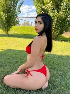 inocentefox