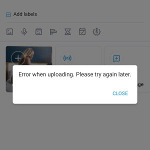 💋 Sasha Strokes ( sashastrokes ) model OnlyFans on Leakedzone