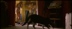 piper-perabo