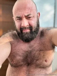 pepeluchebear