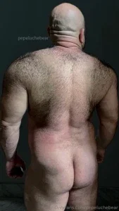 pepeluchebear