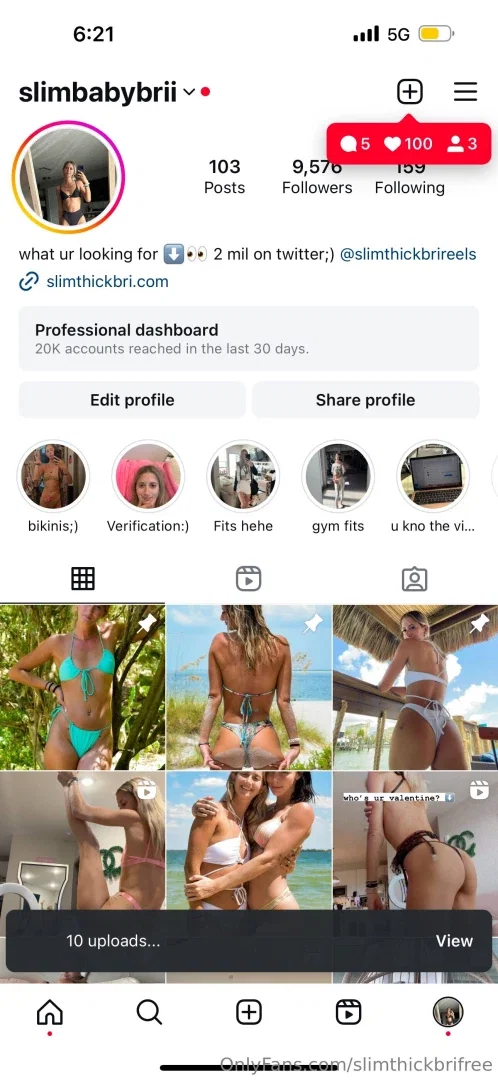 slimthickbrifree