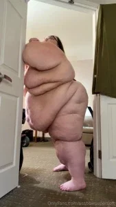 ussbbwsupersoft