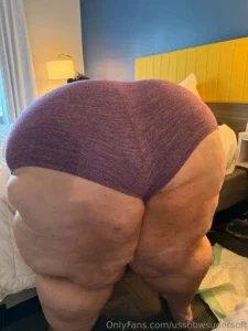 ussbbwsupersoft