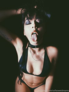 sofiaswetdreams
