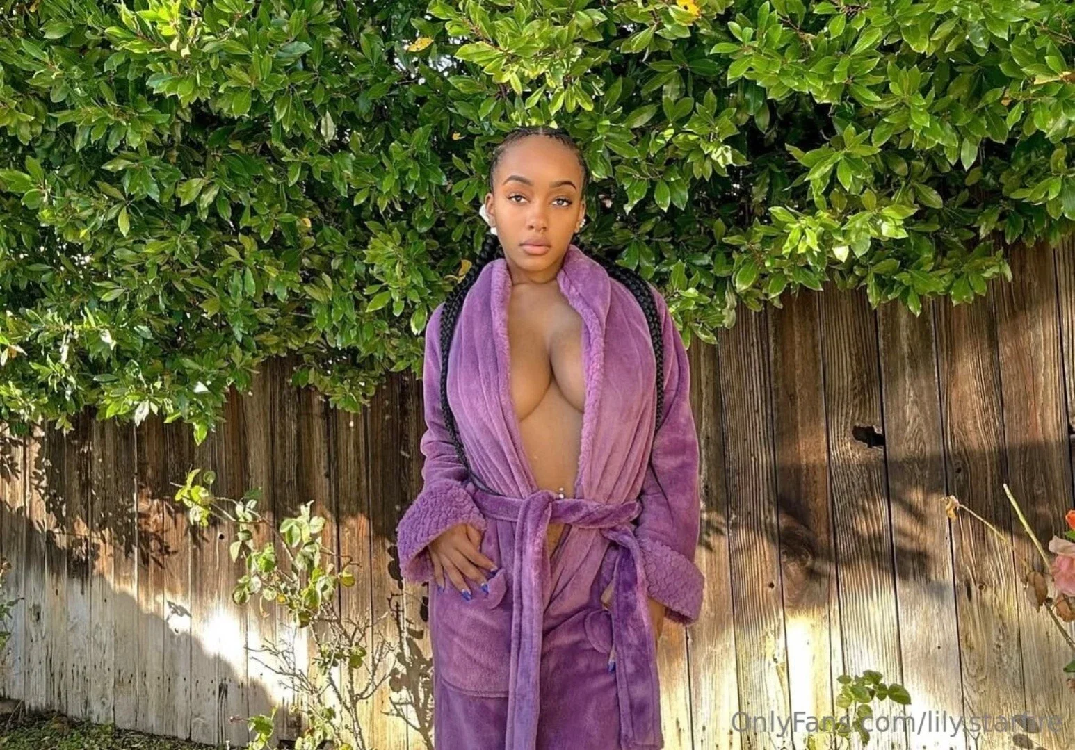 lily-starfire