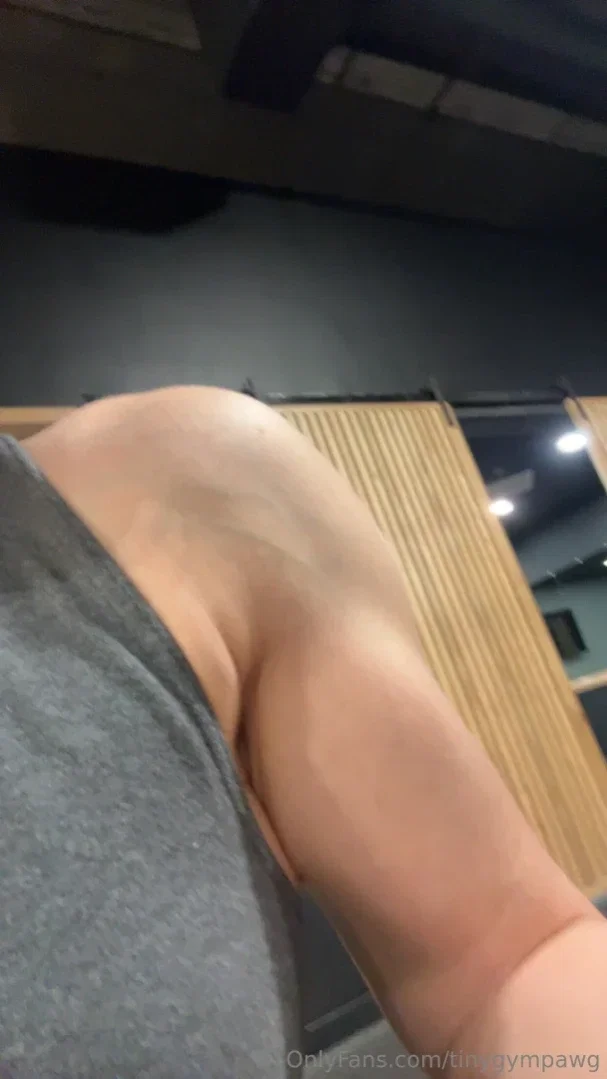 tinygympawg