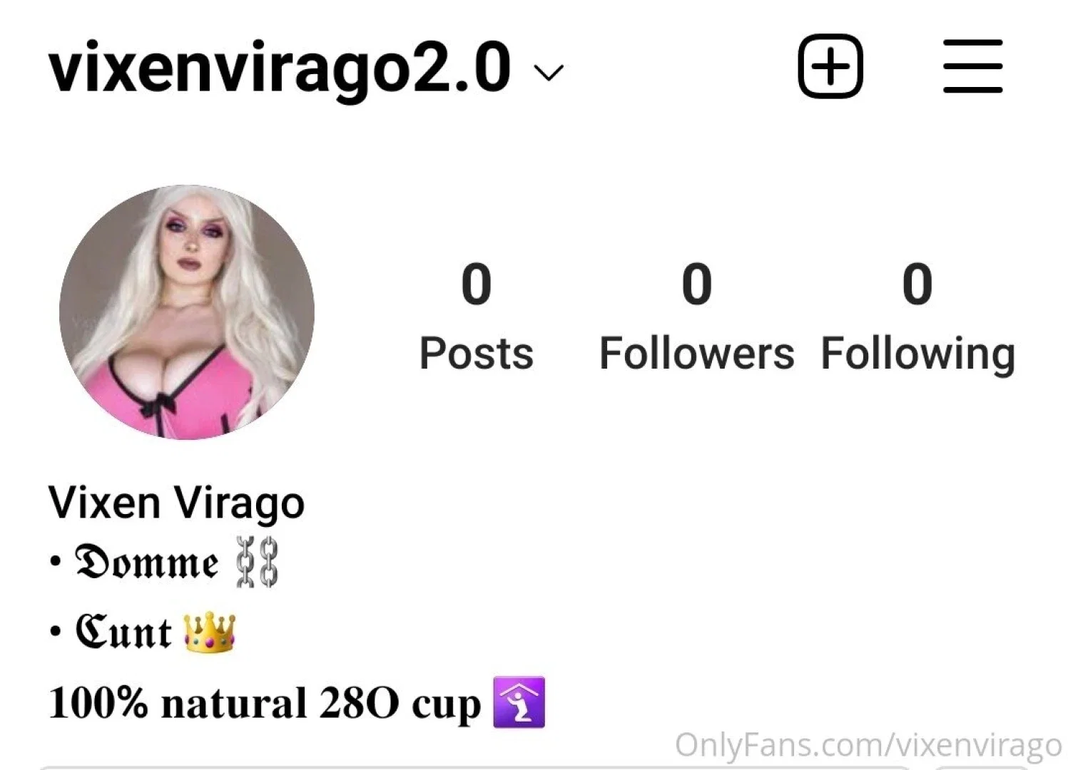 vixenvirago