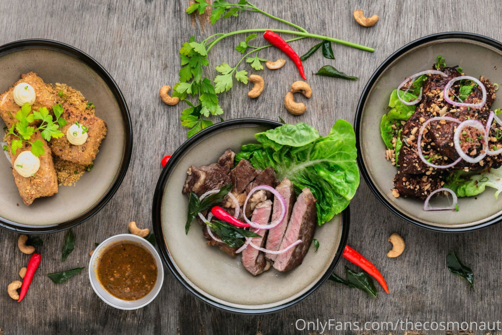 thecosmonaut leaked photo 13110331