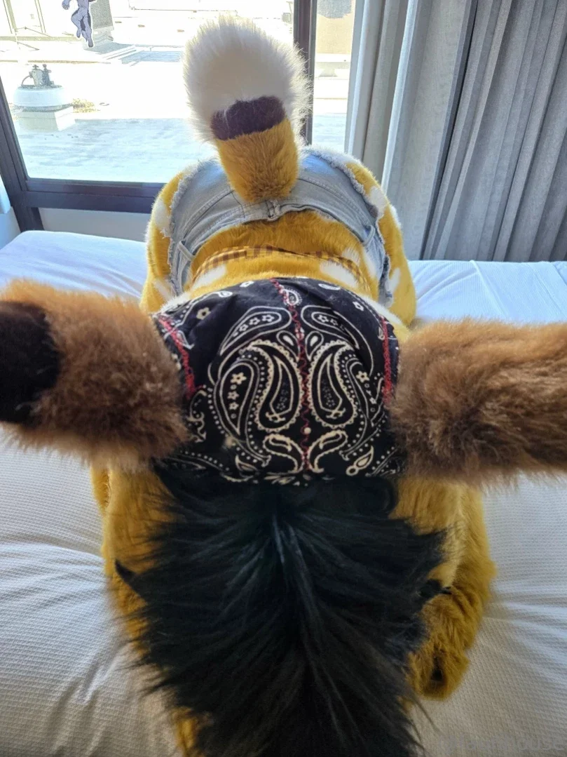 lotuslafawn