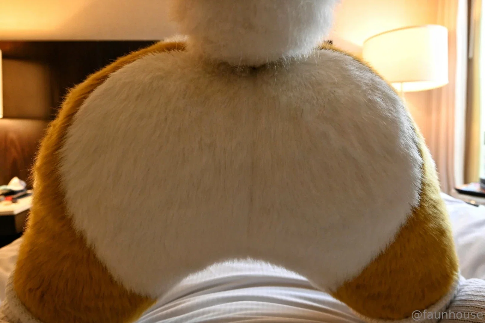 lotuslafawn