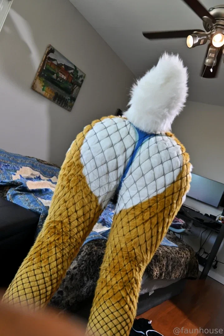 lotuslafawn