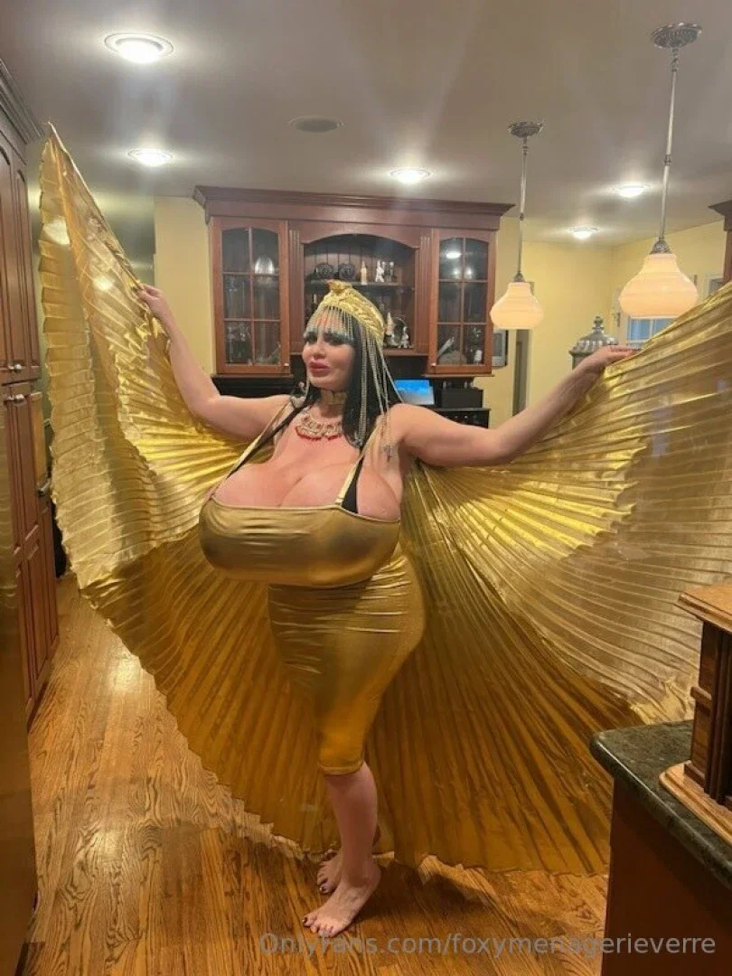 foxymenagerieverre