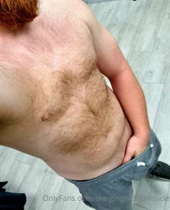 the-gingerdreamsicle