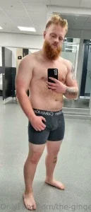 the-gingerdreamsicle