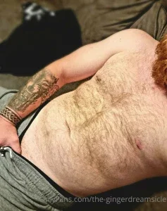 the-gingerdreamsicle