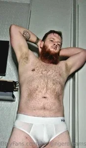 the-gingerdreamsicle