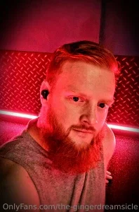 the-gingerdreamsicle