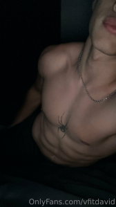 💋 David ( vfitdavid ) OnlyFans leaked photo 10880406 on Leakedzone