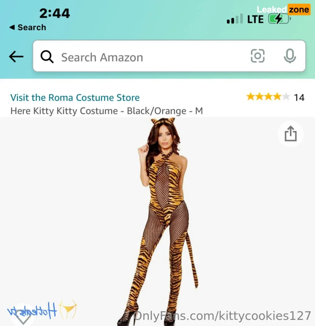 worldclasskitty