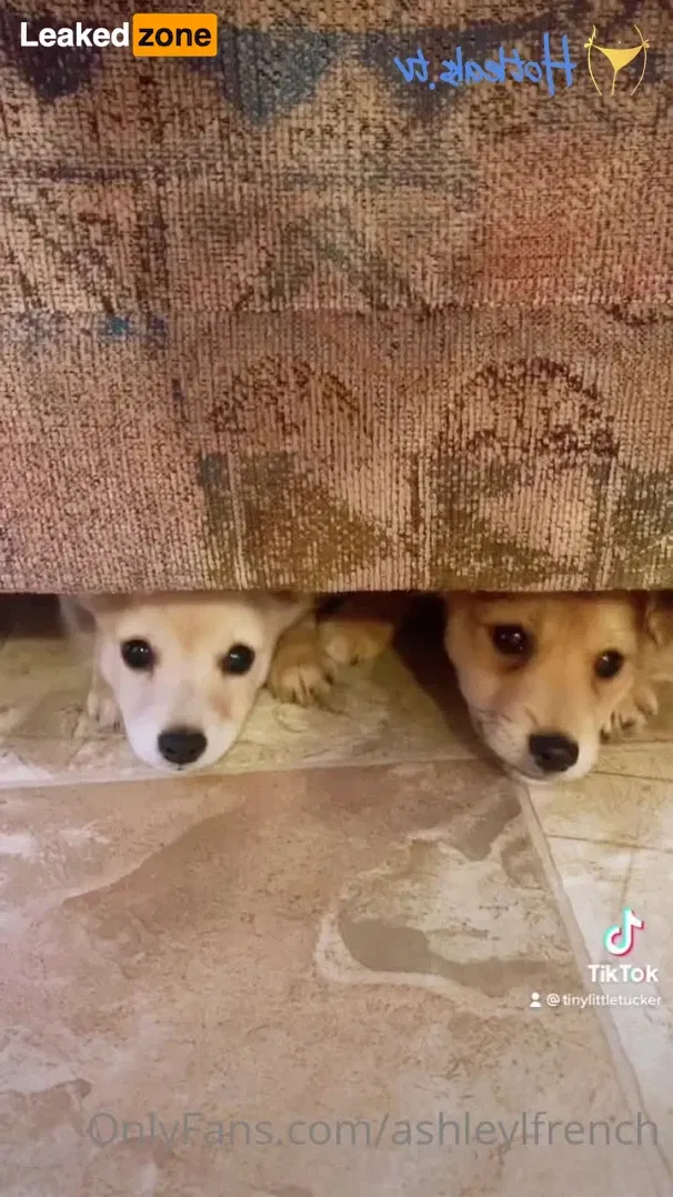 💋 Ashley L French ( ashleylfrench ) OnlyFans leaked video ...