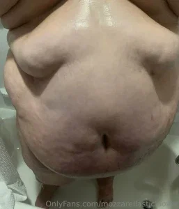 mozzarellasticklover