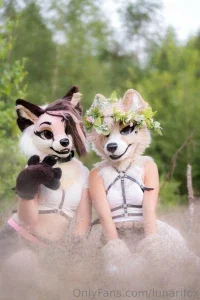 lunarifox