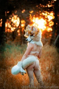 lunarifox