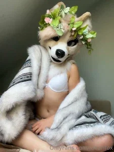 lunarifox