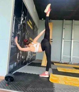 amislyfox