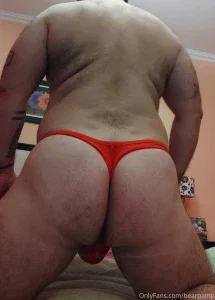 bearpamp