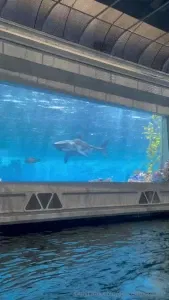 All Models Exclusive Leaked on Leakedzone page 384