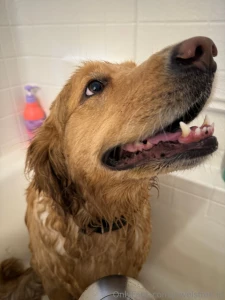 💋 jewelsfree.irl ( jewelsfree.irl ) OnlyFans photos on Leakedzone