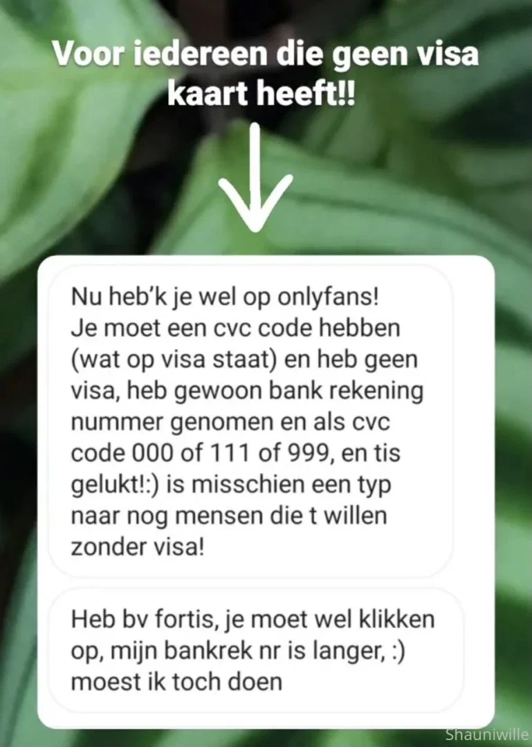 willeshauni