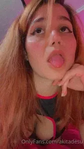 akitadesuu