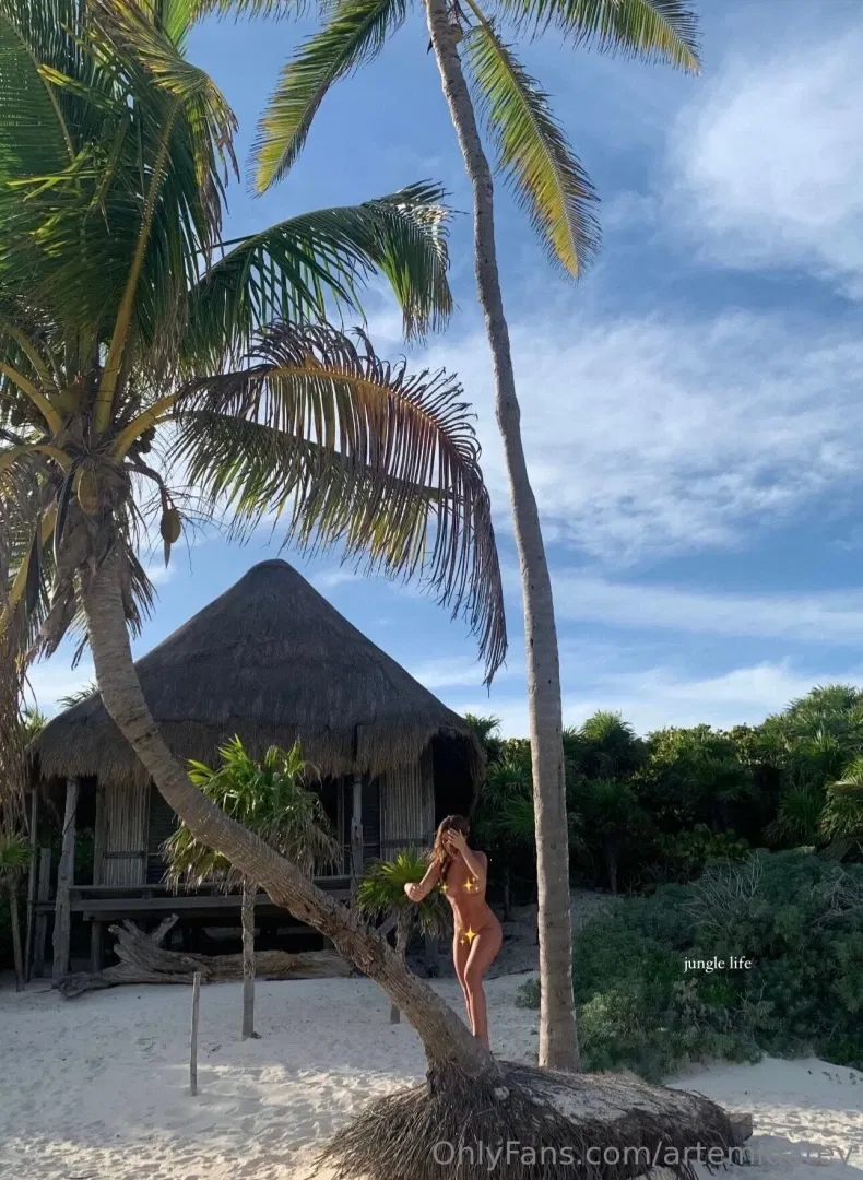 artemidarey Leaked photo 18326468 - Leakedzone