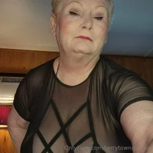 terryvip