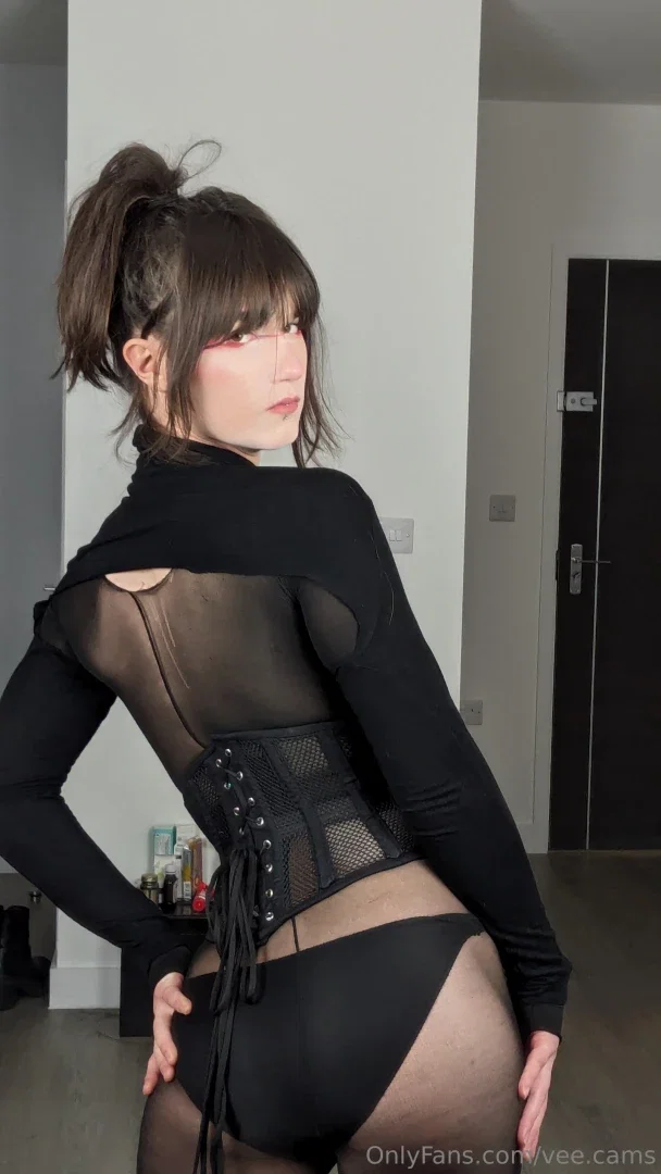 vee.cams