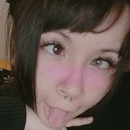 💋 Choby cat✨ ( chobycat ) model OnlyFans on Leakedzone